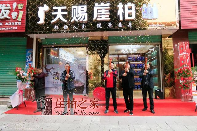 陕西城固首家“天赐崖柏酒”门店盛大开业-1