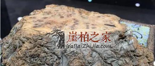 辩种论价值,崖柏百科知识大全-3