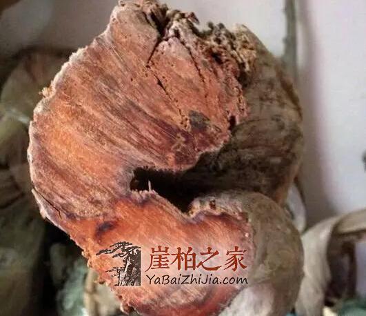 辩种论价值,崖柏百科知识大全-8