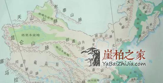 辩种论价值,崖柏百科知识大全-1