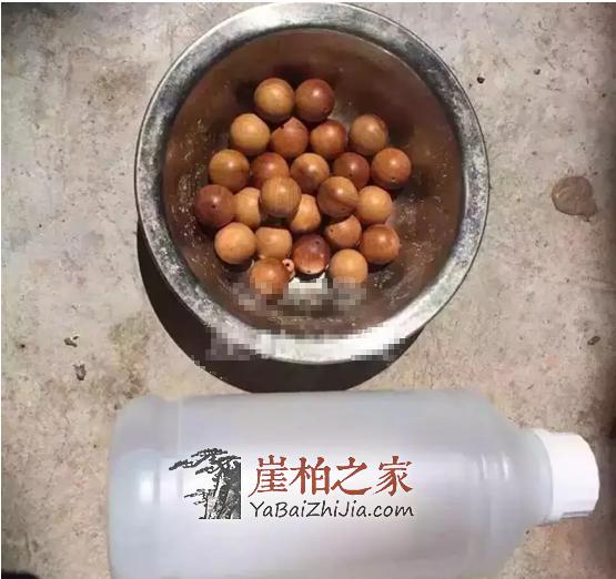 黑又亮的崖柏黑油料竟是这么煮出来的,揭秘“烹制”全过程!-1
