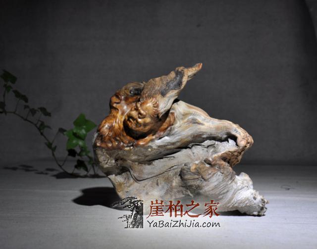 崖柏根雕如何保养,这7点必须要了解!-1