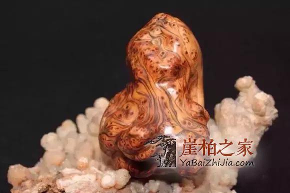 崖柏,时尚、养生两不误!-1