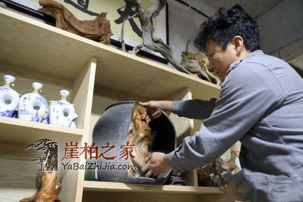崖柏藏家——韩克军-4