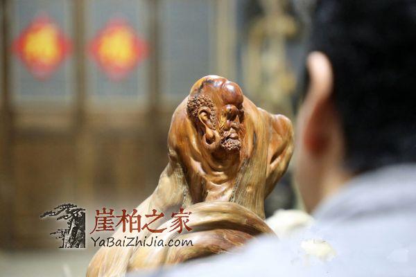 崖柏藏家——韩克军-3