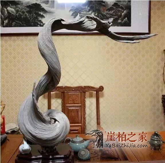 崖柏即将消失,现在还犹豫的朋友几年后肯定后悔-6