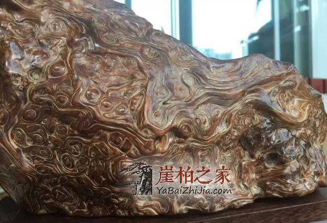 崖柏即将消失,现在还犹豫的朋友几年后肯定后悔-10