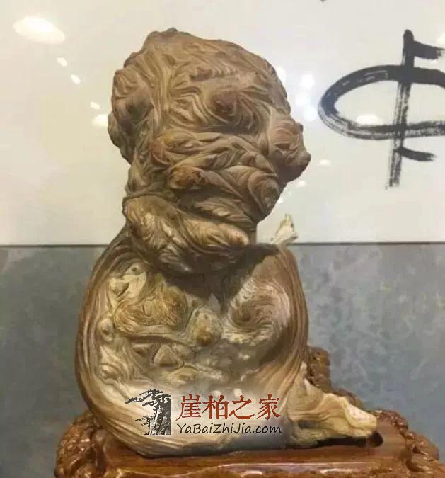 崖柏即将消失,现在还犹豫的朋友几年后肯定后悔-9
