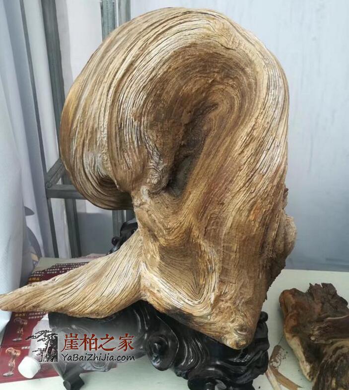从天价崖柏“黑天鹅”的落地成交看崖柏精品范畴的雏形形成!-2