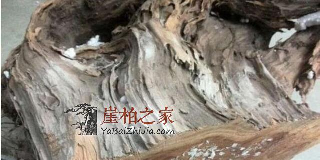 崖柏深度剖析,图解生料老料陈化料,差距很大涨知识-5