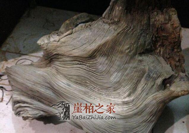 崖柏深度剖析,图解生料老料陈化料,差距很大涨知识-6