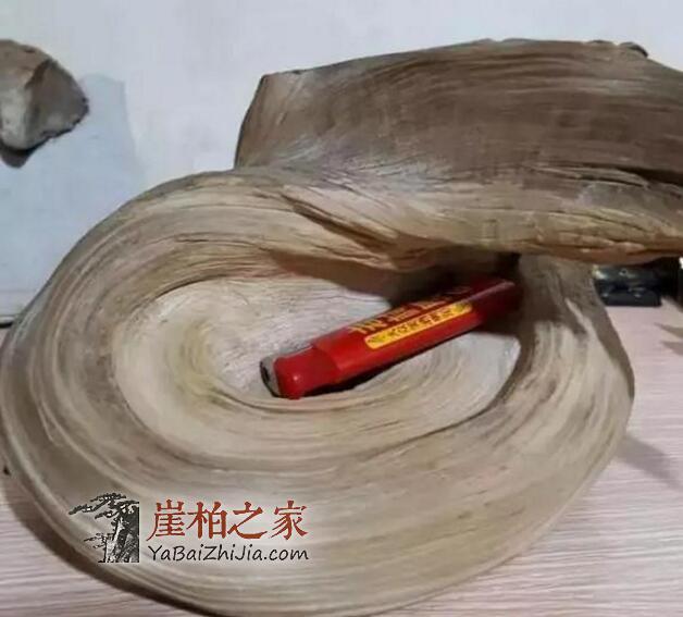 崖柏开裂修复小技巧!玩崖柏的人终身受益!-3
