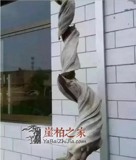 崖柏开裂修复小技巧!玩崖柏的人终身受益!-4