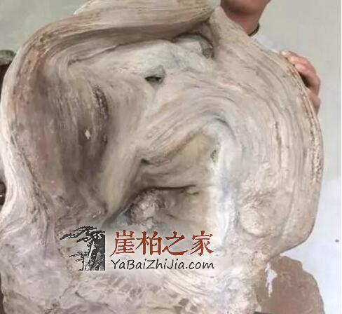 崖柏开裂修复小技巧!玩崖柏的人终身受益!-6