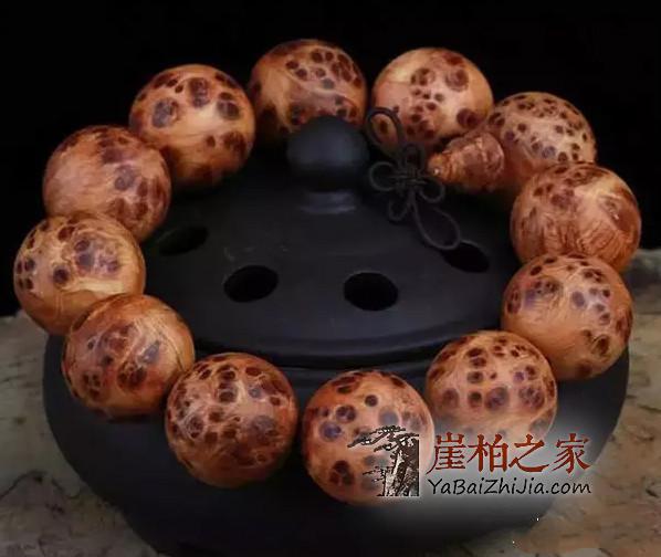 崖柏的“地位”真的是炒作出来的吗?-1