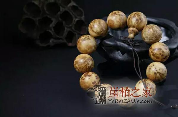 崖柏的“地位”真的是炒作出来的吗?-5