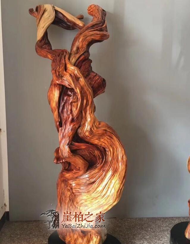 崖柏从暴涨到暴跌,未来价值将会如何发展-1
