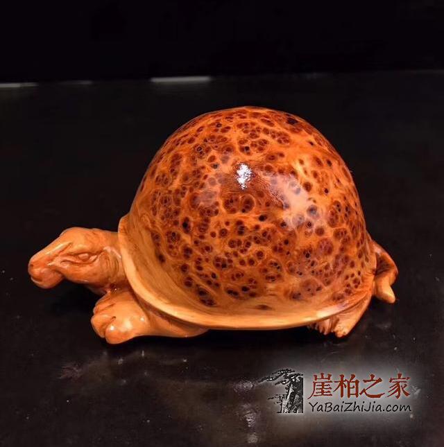 崖柏从暴涨到暴跌,未来价值将会如何发展-2