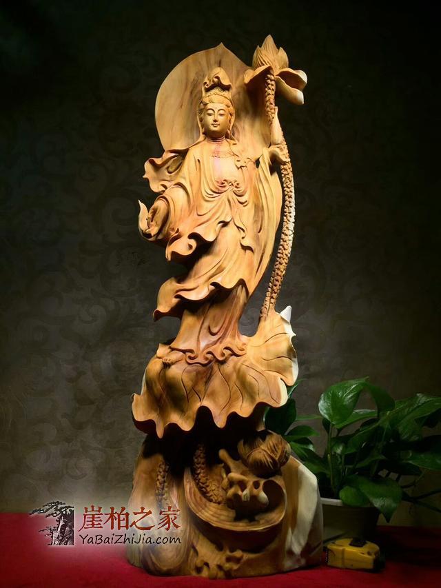 崖柏从暴涨到暴跌,未来价值将会如何发展-4