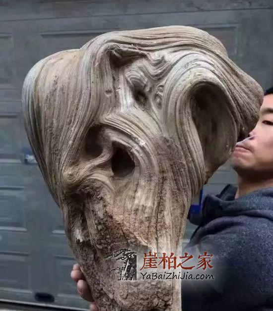 这几点,足以让崖柏价格无法下跌-2