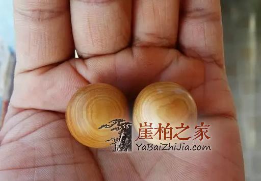 关于崖柏最全的知识,老司机要开车了-13