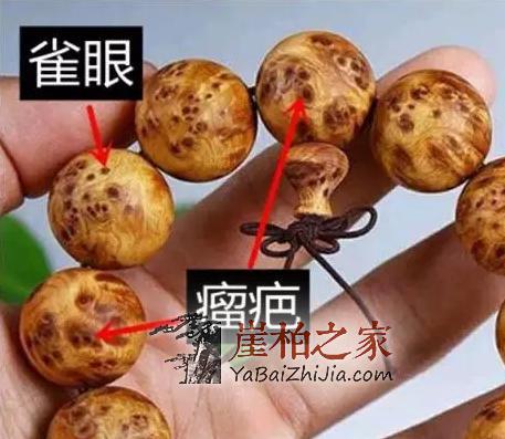 关于崖柏最全的知识,老司机要开车了-6
