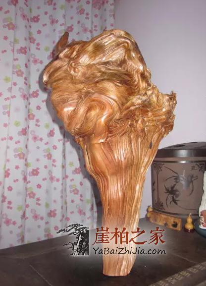 关于崖柏最全的知识,老司机要开车了-15