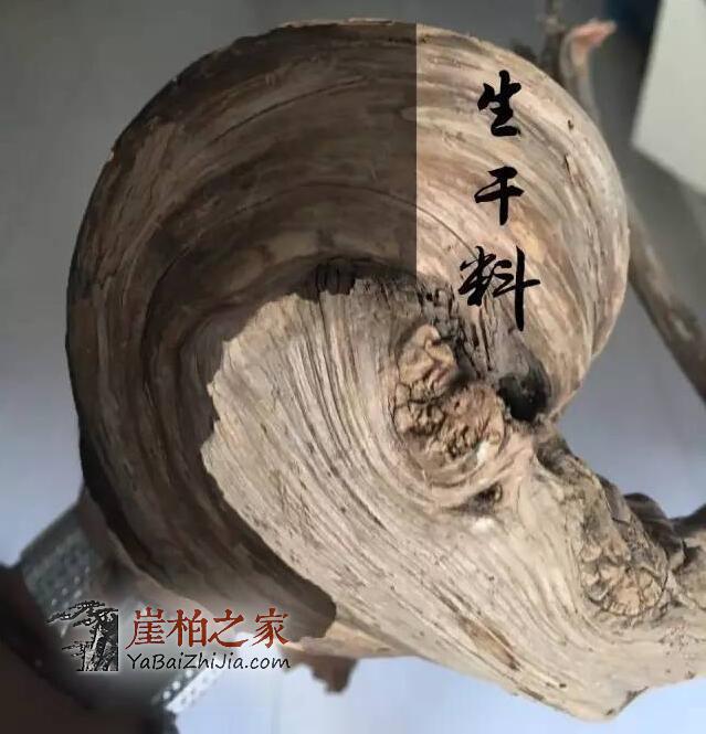 如何从崖柏毛料上辨别料质好坏?-4