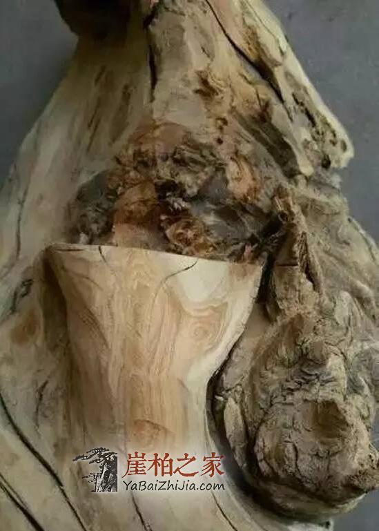 如何从崖柏毛料上辨别料质好坏?-5