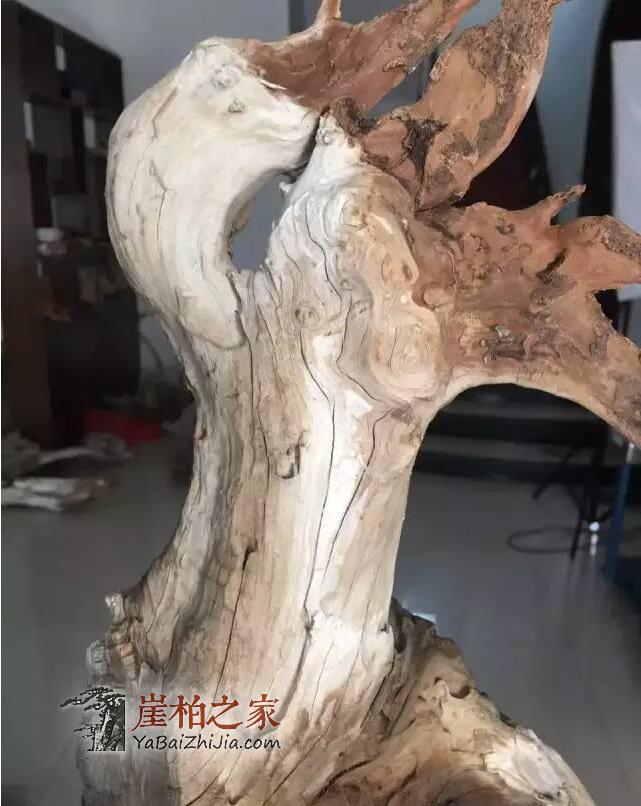 如何从崖柏毛料上辨别料质好坏?-9