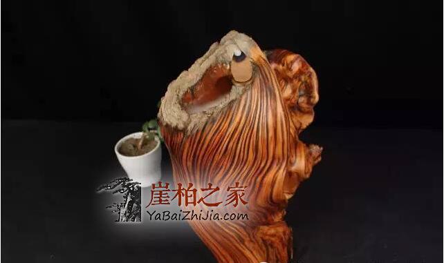 如何从崖柏毛料上辨别料质好坏?-11