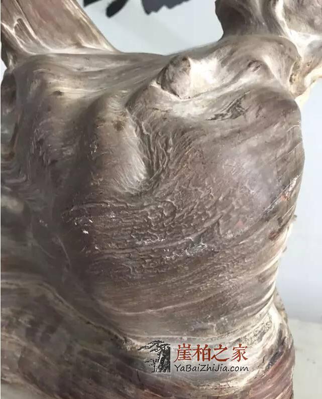 如何从崖柏毛料上辨别料质好坏?-12