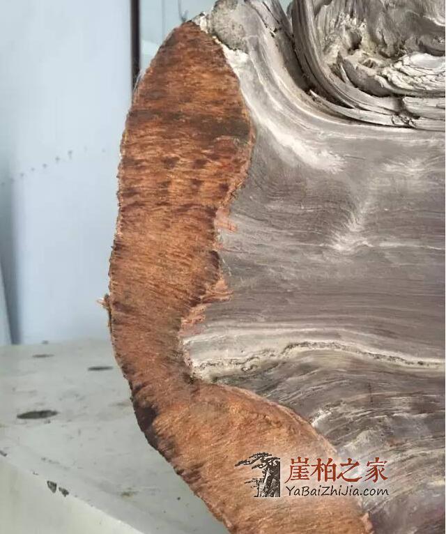 如何从崖柏毛料上辨别料质好坏?-13