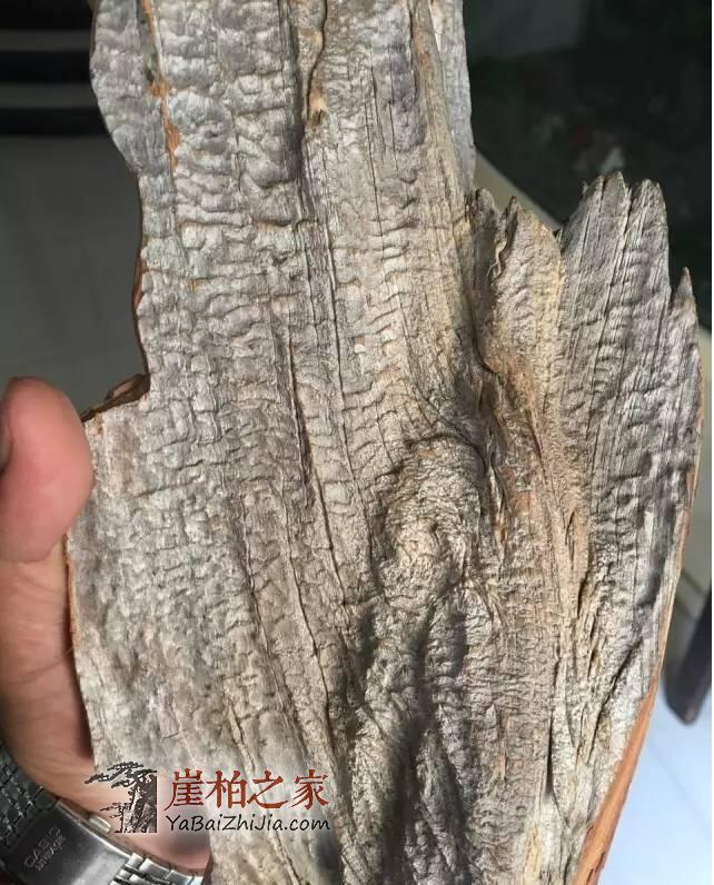 如何从崖柏毛料上辨别料质好坏?-15
