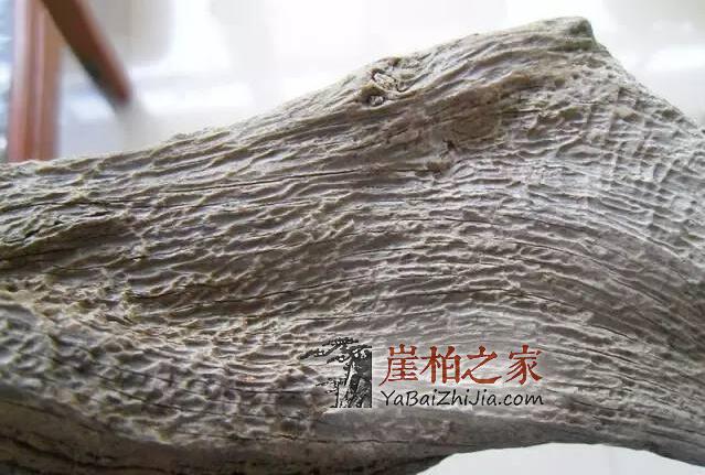 如何从崖柏毛料上辨别料质好坏?-16