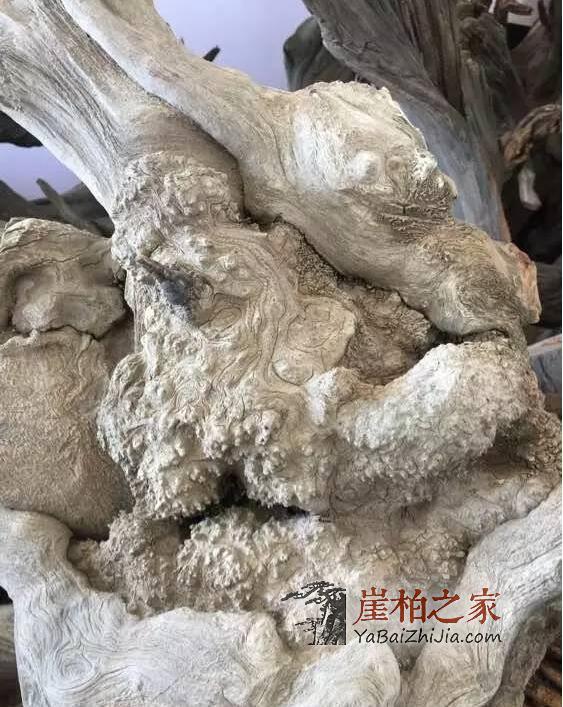 如何从崖柏毛料上辨别料质好坏?-19
