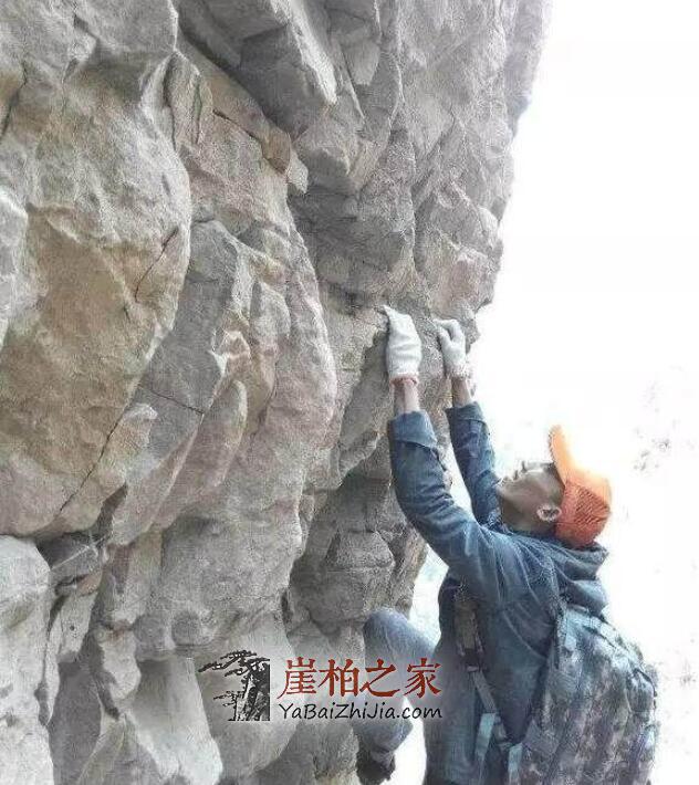 干货!赏鉴崖柏的十大常识-16