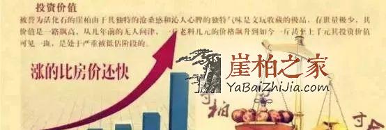 崖柏收藏指南，未来有极大升值潜力的六大料形崖柏！-1