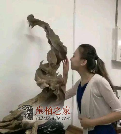 崖柏收藏指南,未来有极大升值潜力的六大料形崖柏!-2