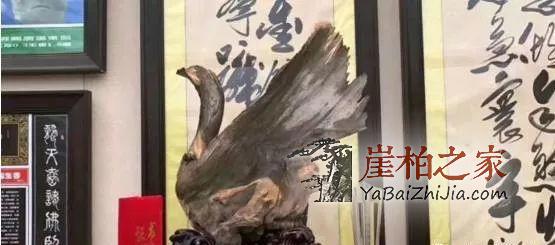 崖柏收藏指南,未来有极大升值潜力的六大料形崖柏!-6