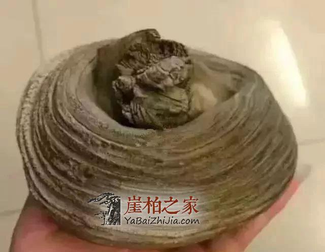 崖柏收藏指南,未来有极大升值潜力的六大料形崖柏!-3