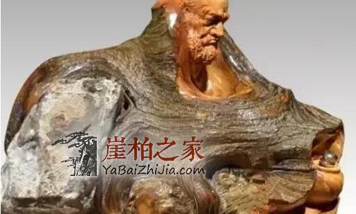 崖柏的仿品做的太逼真,只能使出“绝招”了!-4