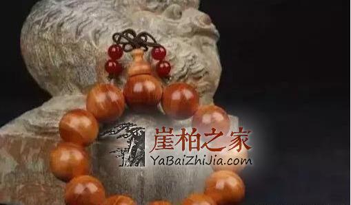 崖柏的仿品做的太逼真,只能使出“绝招”了!-6