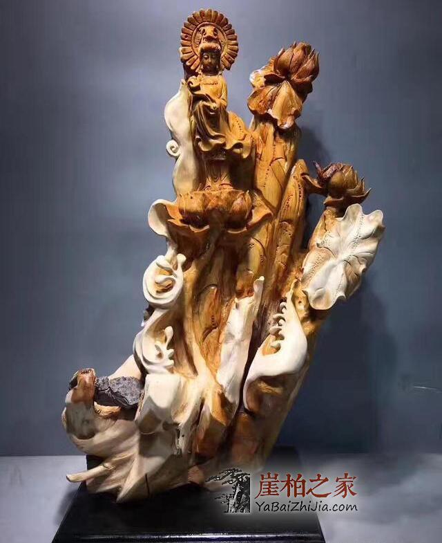 揭示:关于崖柏收藏的真相-5