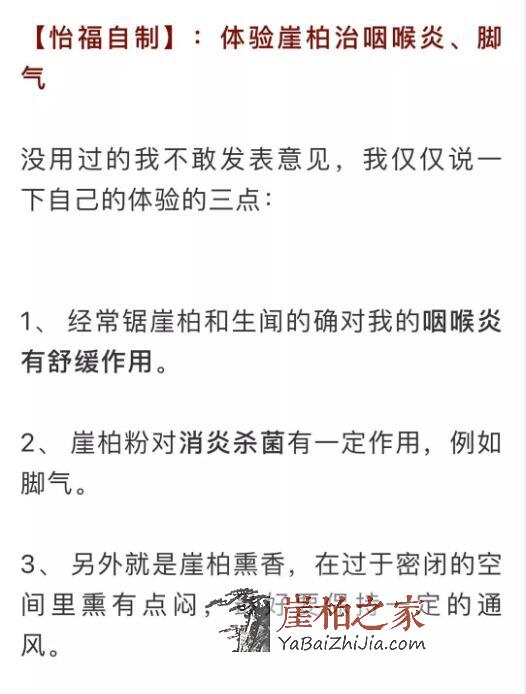 崖柏之家:喝崖柏茶治好了我的咽喉炎和你的鼻炎-4