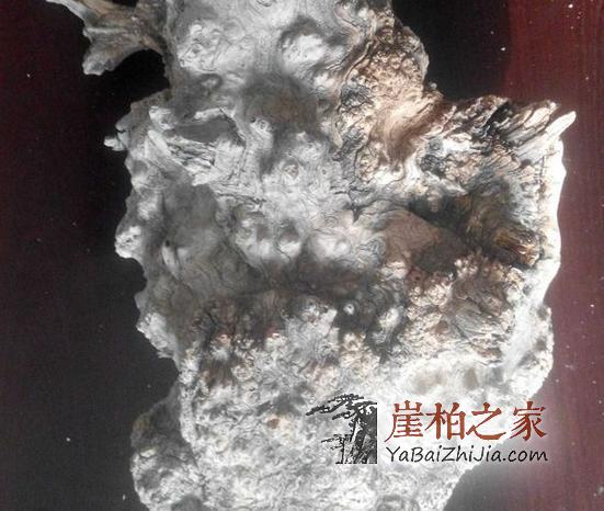 连这几种陈化瘤都分不清楚,还怎么玩崖柏!-1