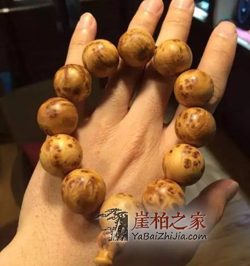 教你慧眼识“木”看穿崖柏瘤疤造假!-4