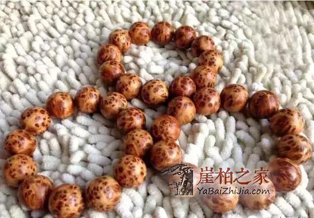 认识崖柏,爱上崖柏!-6