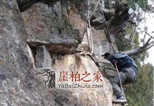男子挖崖柏被困百米悬崖,民警解救脱困境-2