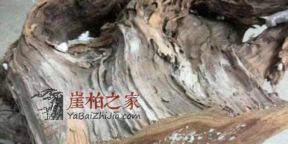 且盘且珍惜,崖柏深度剖析,图解生料老料陈化料,差距很大涨知识-5